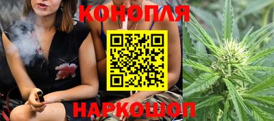 a pvp Лесосибирск